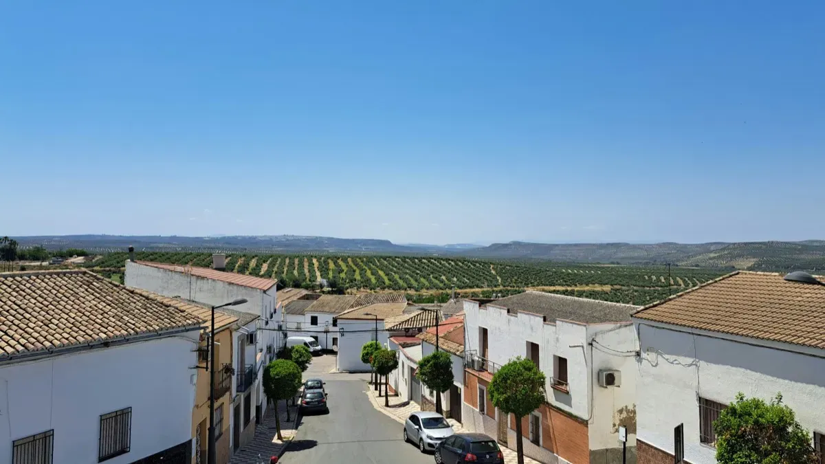 Landlord insurance for rental properties in Spain